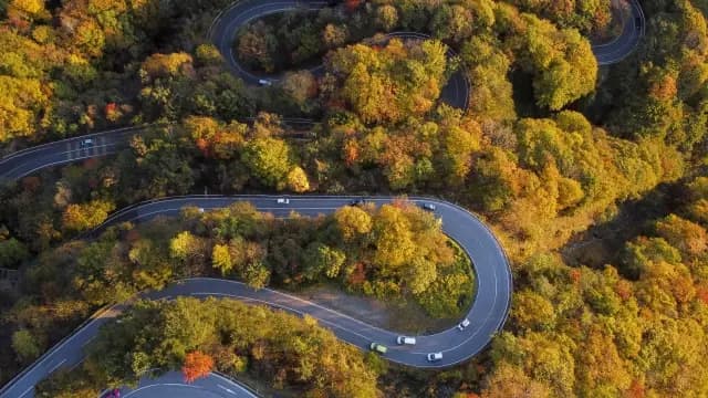 紅葉の森の中を曲がりくねって続くいろは坂