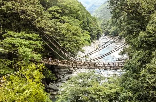 The vine-woven Iya Kazurabashi suspension bridge over the autumn-colored Iya Valley gorge
