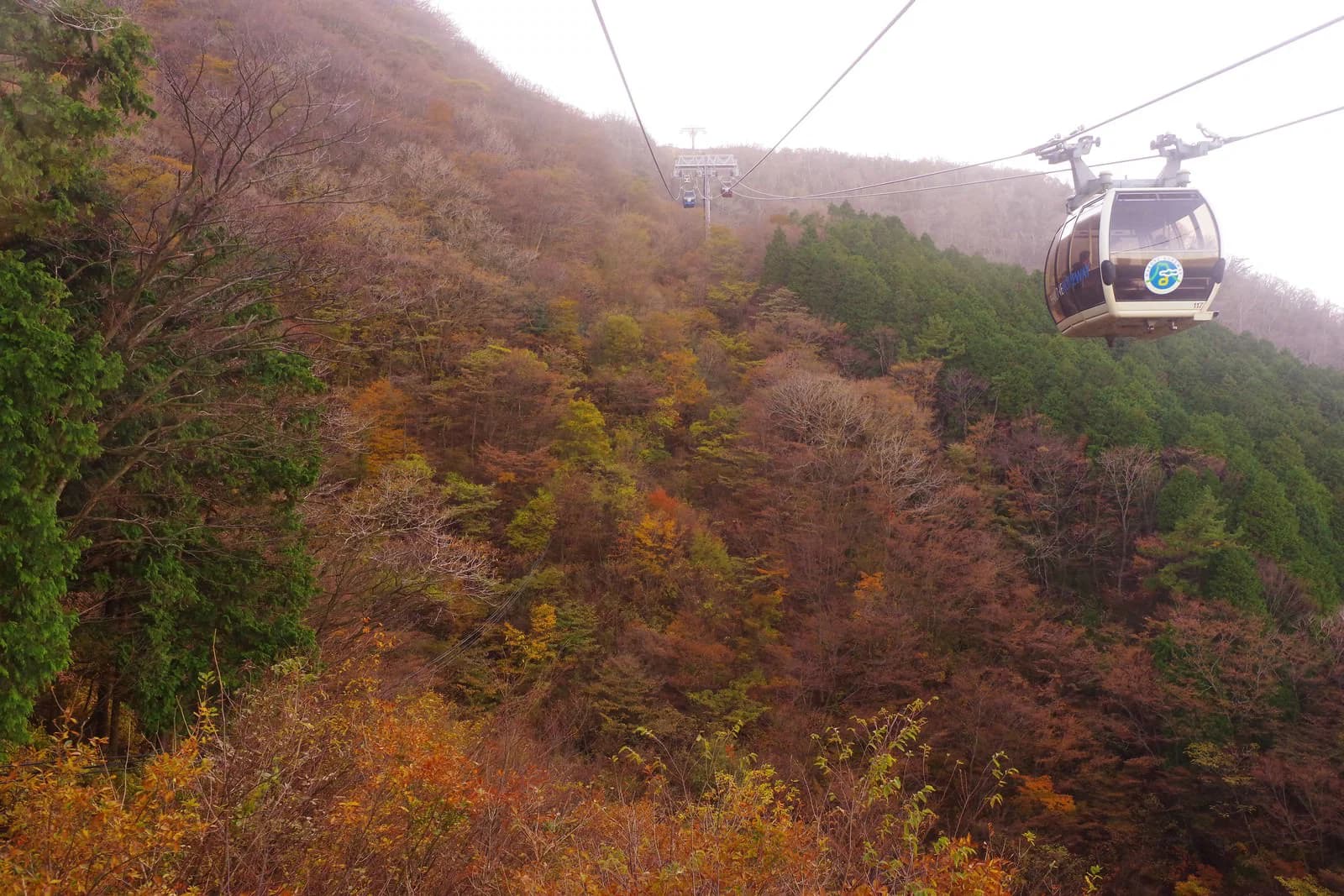 紅葉の山腹を行くロープウェイのゴンドラ