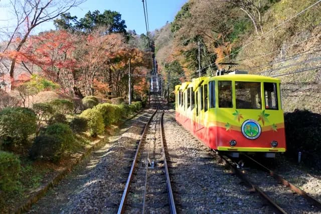 紅葉した木々のあいだの線路を走る高尾山のケーブルカー