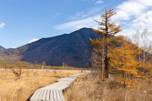 木道が延びる秋の湿原と男体山