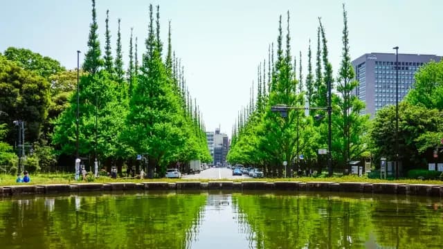 The golden ginkgo avenue at Meiji Jingu Gaien, seen from the Aoyama-dori entrance