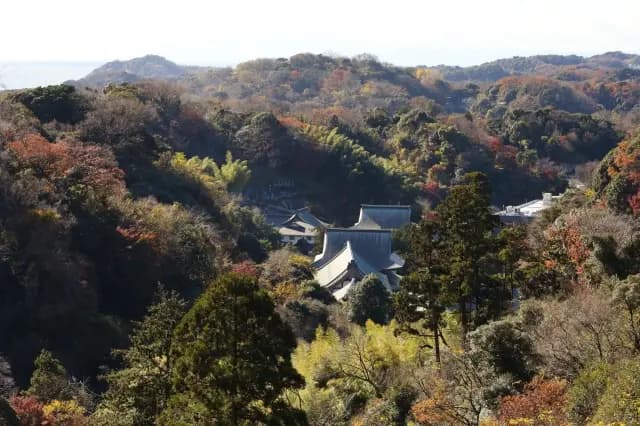 紅葉の山あいにある建長寺の堂を、高台から見下ろした眺め