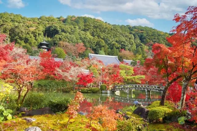 紅葉に囲まれた永観堂の池と、丘の上の多宝塔