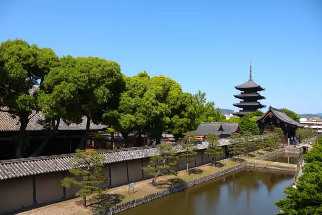 緑の木々の向こうに立つ東寺の五重塔